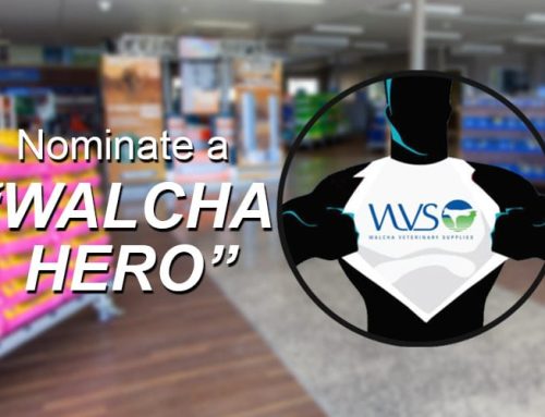 Nominate a “Walcha Hero”